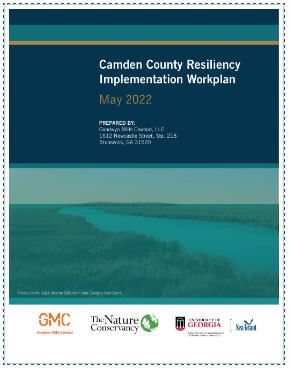 Camden County resilience Implementation Workplan.jpeg